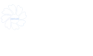 广告投放